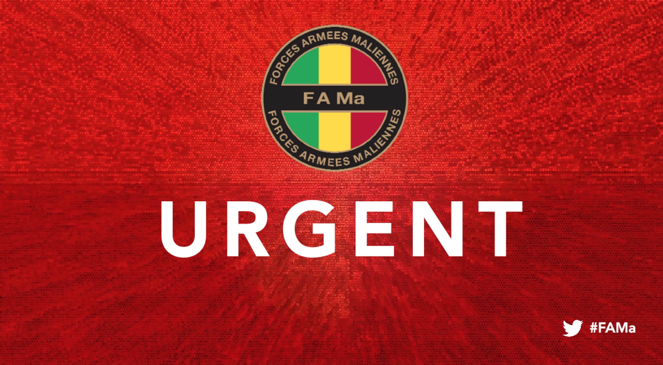 Urgent ‼️