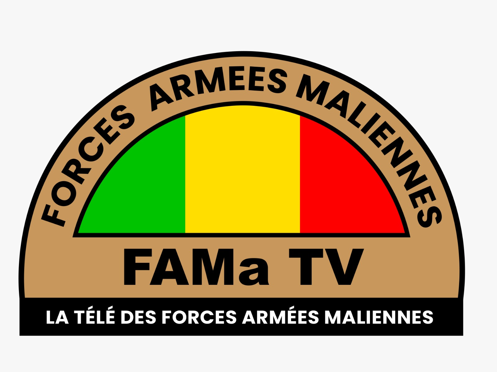 Honorable Mohamed Ousmane Ag Mohamedine du CNT lors des festivités du 20 janvier s'exprime.